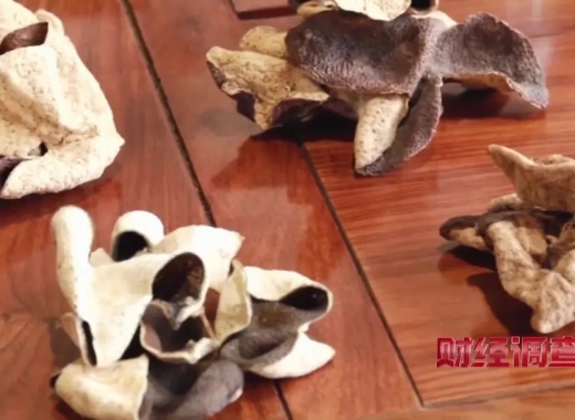 央視曝光20倍暴利“假陳皮”后，如何辨別真假陳皮？